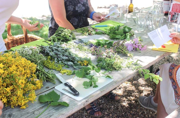 Hildegard von Bingen Medizin Wegberg