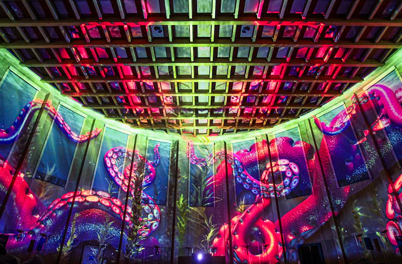 Immersive Show Heidelberg (Pixel Zoo)