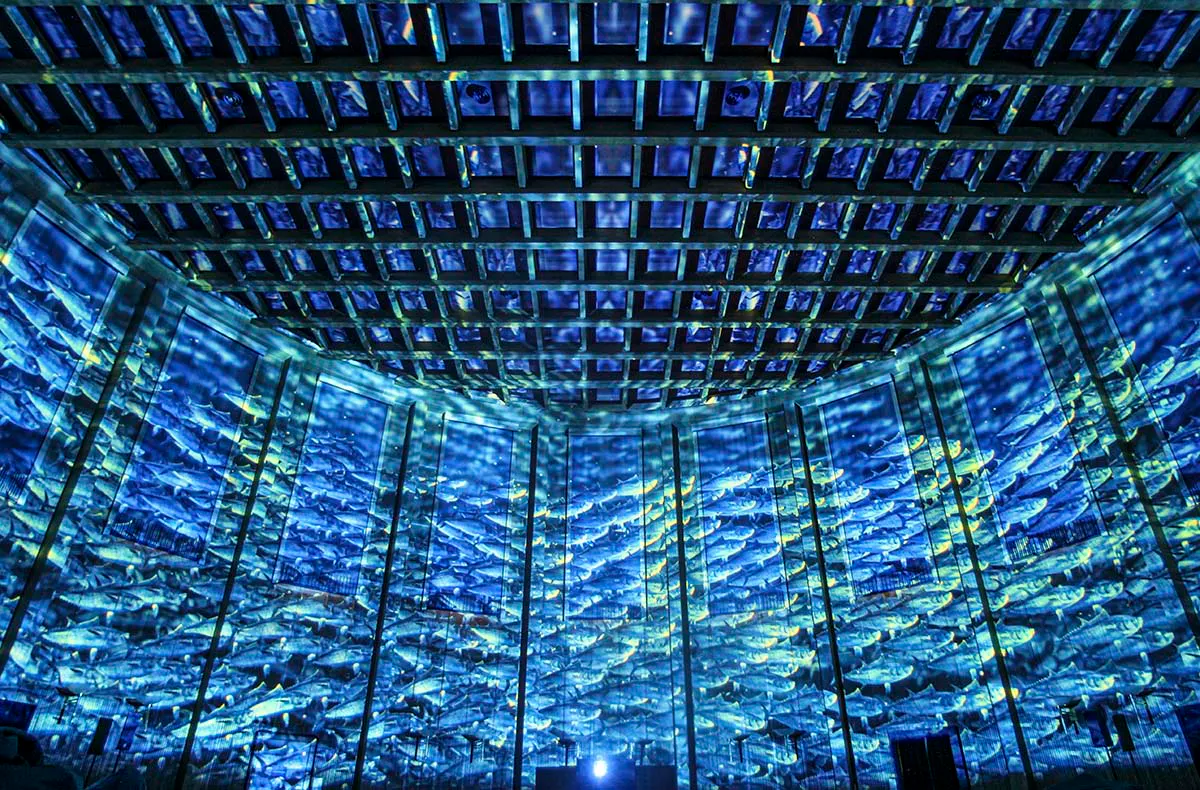 Immersive Show Heidelberg (Pixel Zoo) - 3