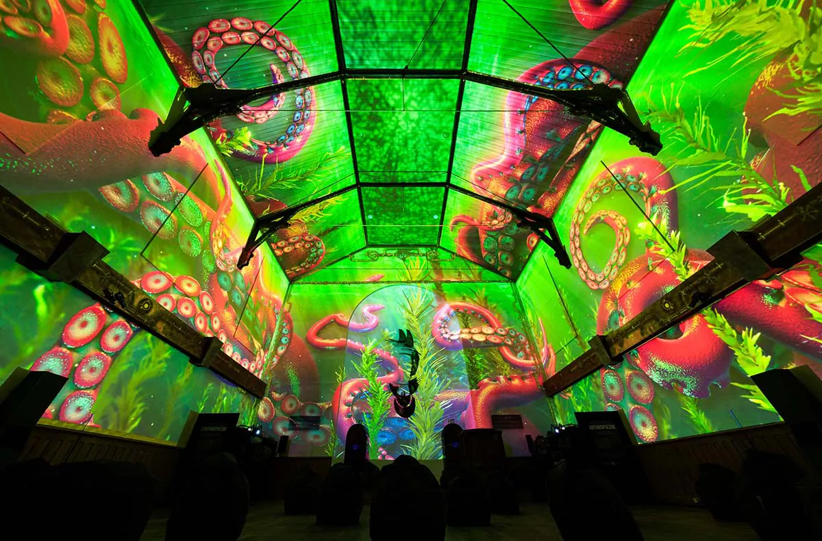 Immersive Show Heidelberg (Pixel Zoo) - 4