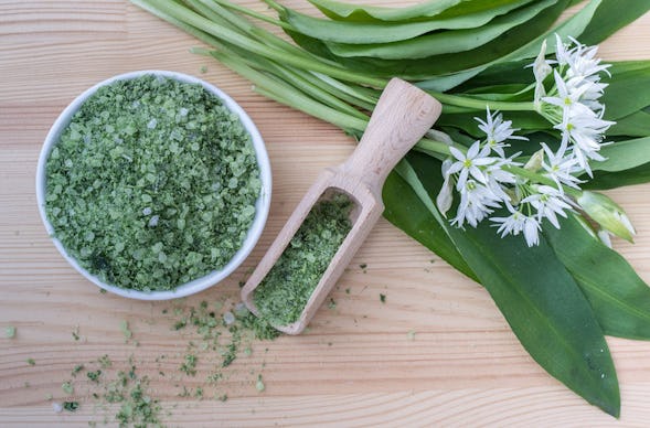 Kochkurs Schupfart (Wildpflanzen)