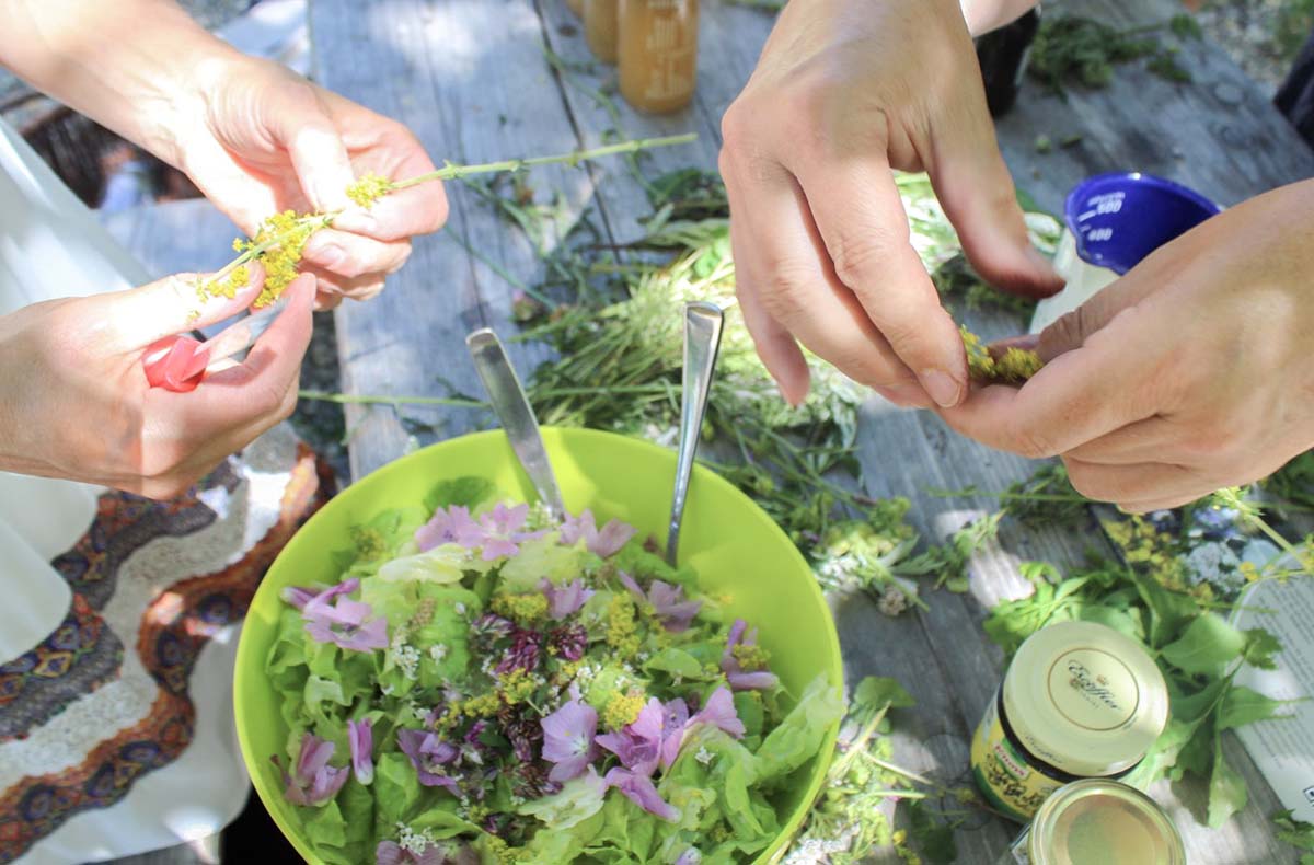 Kräuterwanderung inkl. 4-Gänge-Menü Wegberg