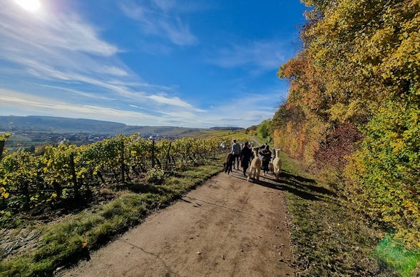Kurzurlaub für bis zu 5 Personen Dipbach (2 Nächte)