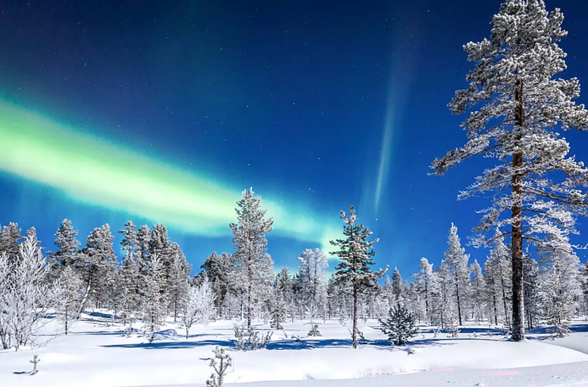 Kurzurlaub Rovaniemi mit Polarlichter-Tour für 2 (2 Nächte) - 3