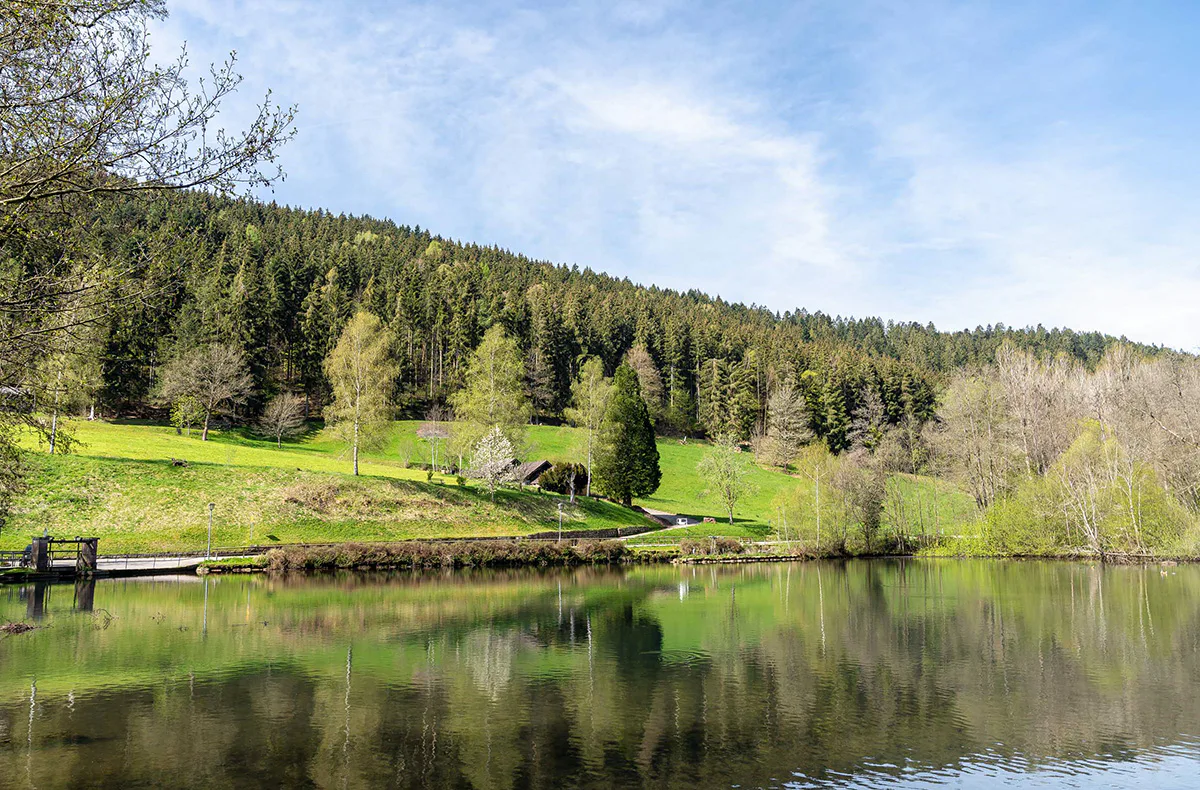 Kurzurlaub Schwarzwald für 2 (1 Nacht) - 8