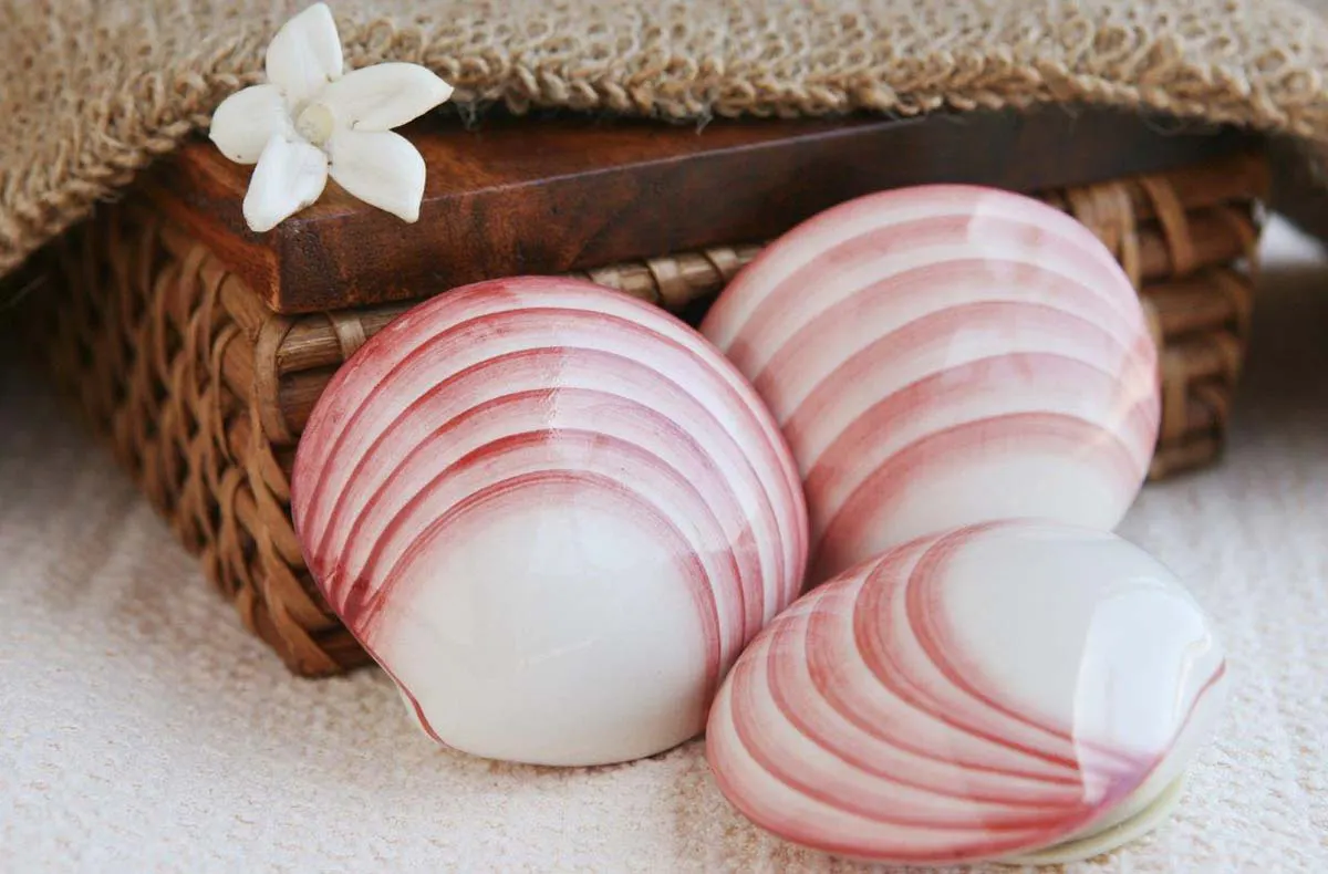 Lava Shell Massage Weinheim - 2