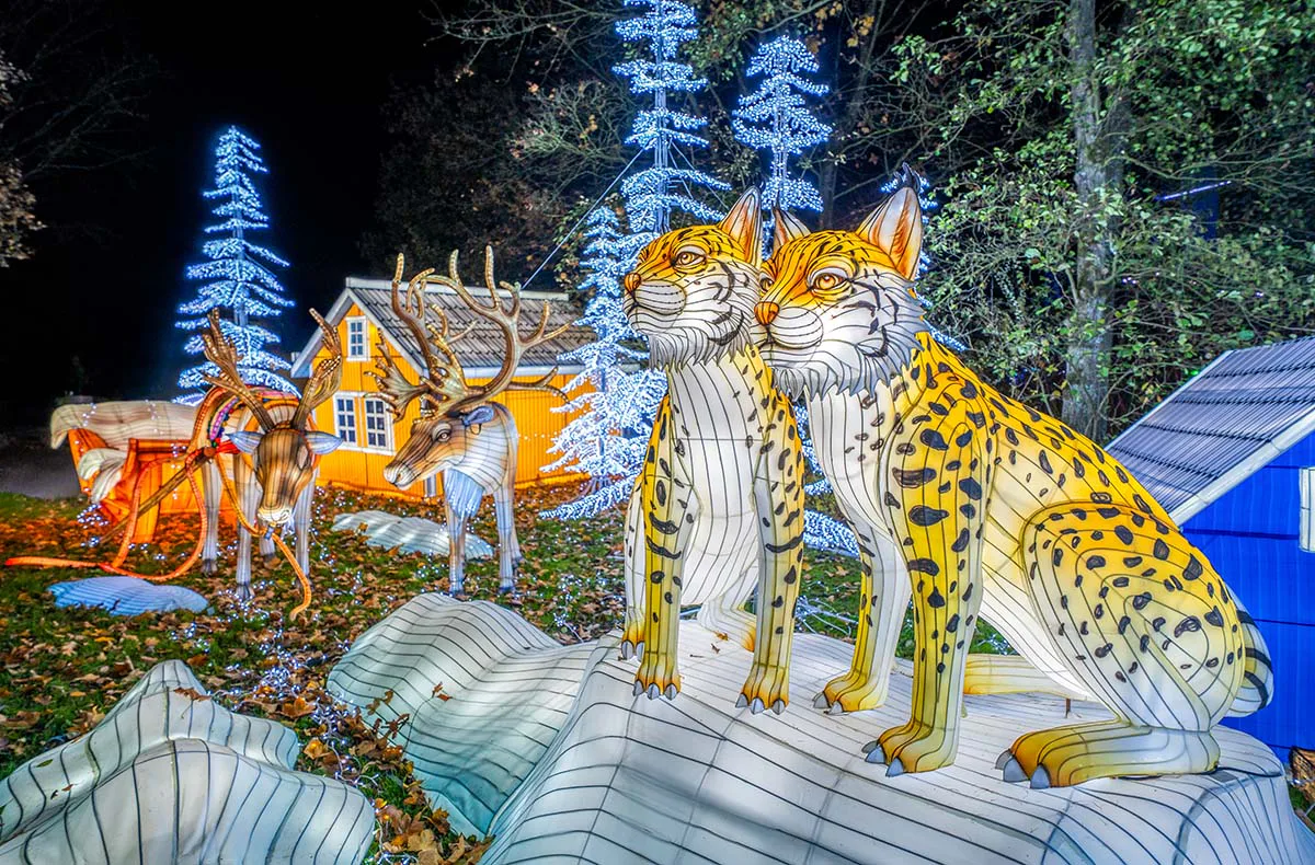 Lichterfestival mit Übernachten im Serengeti-Park für 2 (1 Nacht) - 4