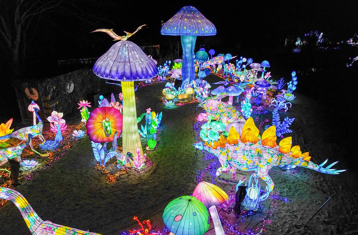 Lichterfestival mit Übernachten im Serengeti-Park für 2 (1 Nacht) - 5