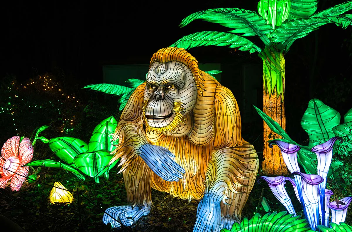Lichterfestival mit Übernachten im Serengeti-Park für 2 (1 Nacht) - 7