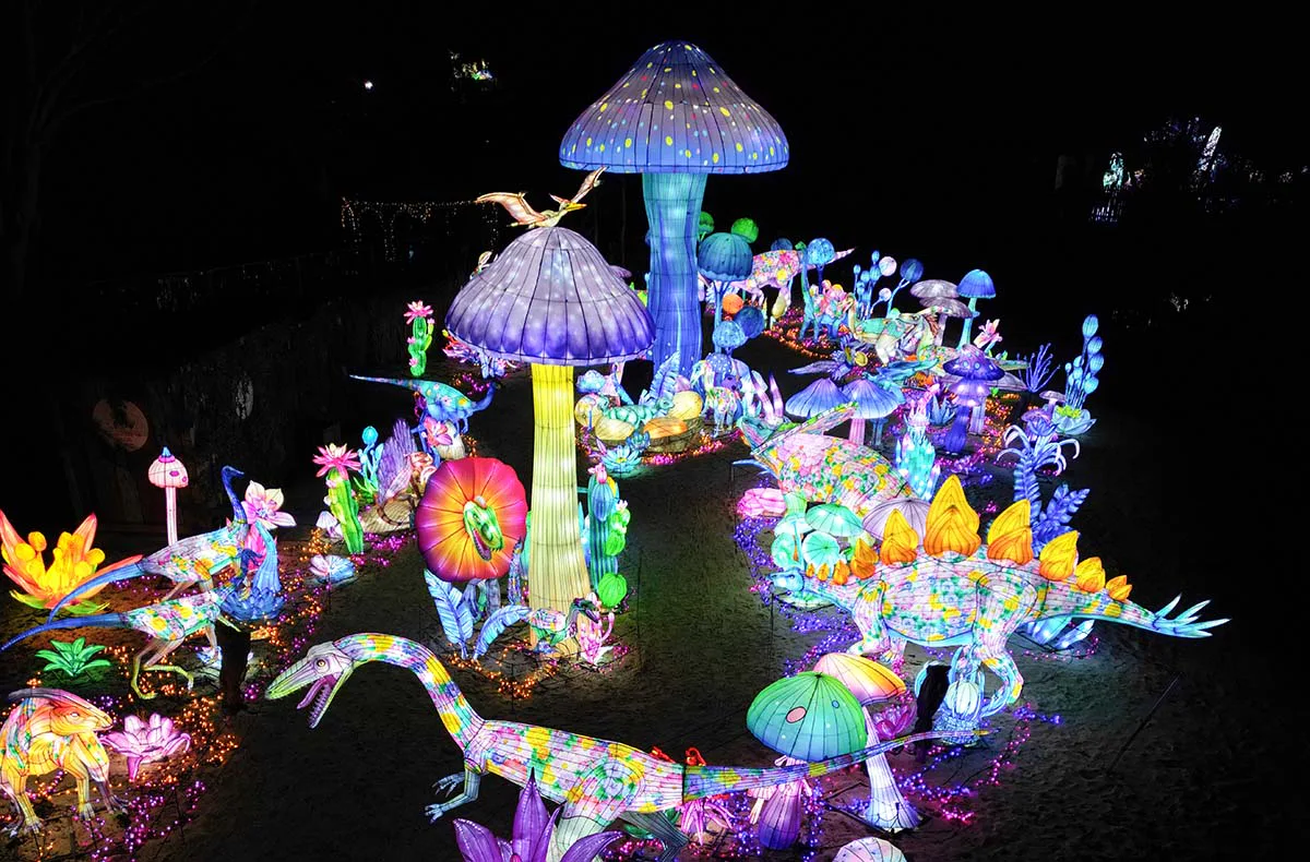 Lichterfestival mit Übernachten im Serengeti-Park für 2 (1 Nacht) - 9