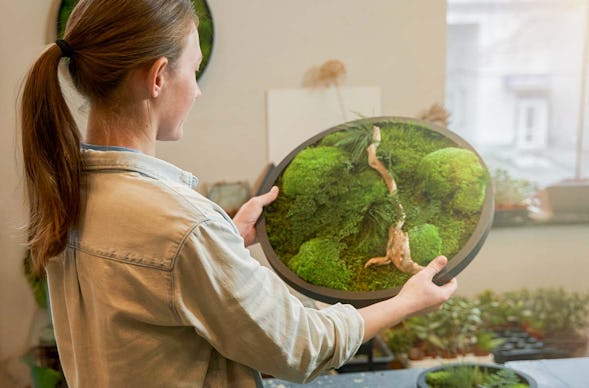 Moosbild selber machen München