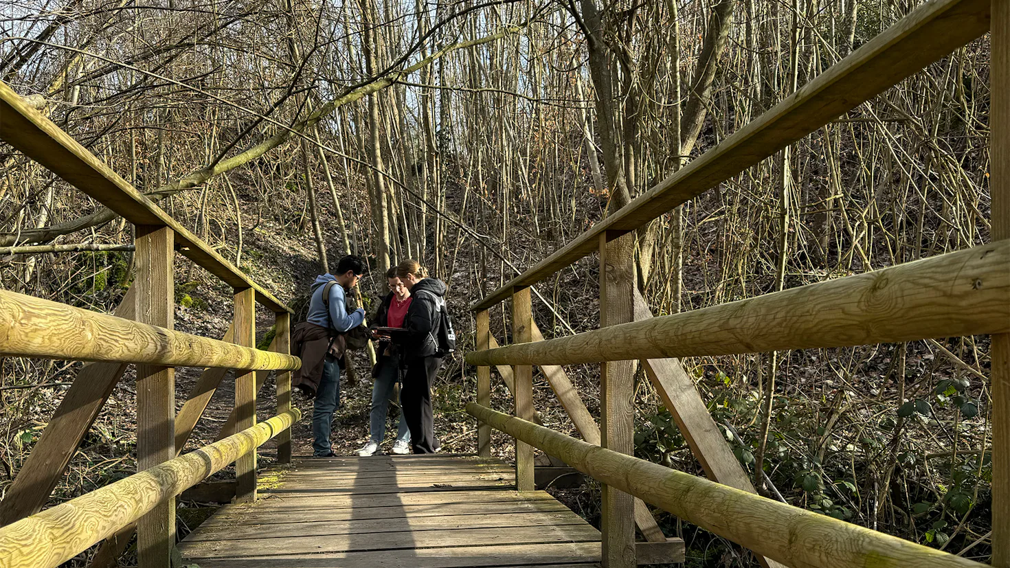 Outdoor Escape für 2 - Fortgeschrittene "Fluch der 7 Linden" Stuttgart - 1