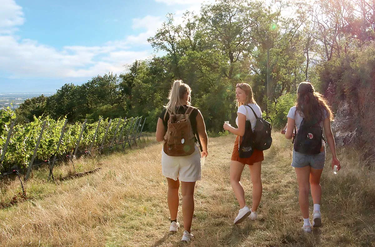 Outdoor Escape Gruppe - Anfänger "In Vino Veritas" Obernbreit - 4
