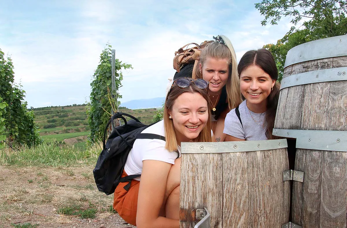 Outdoor Escape Gruppe - Anfänger "In Vino Veritas" Osthofen - 3