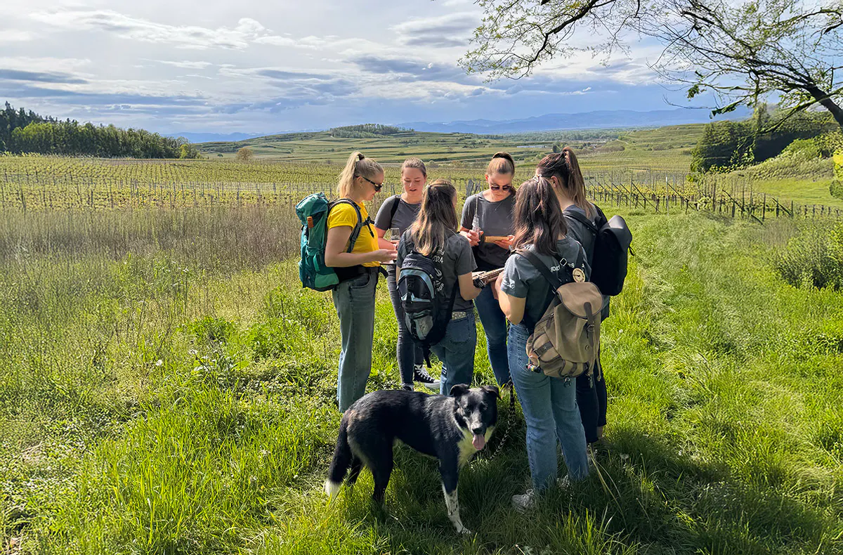 Outdoor Escape Vogtsburg im Kaiserstuhl für 2 - 2