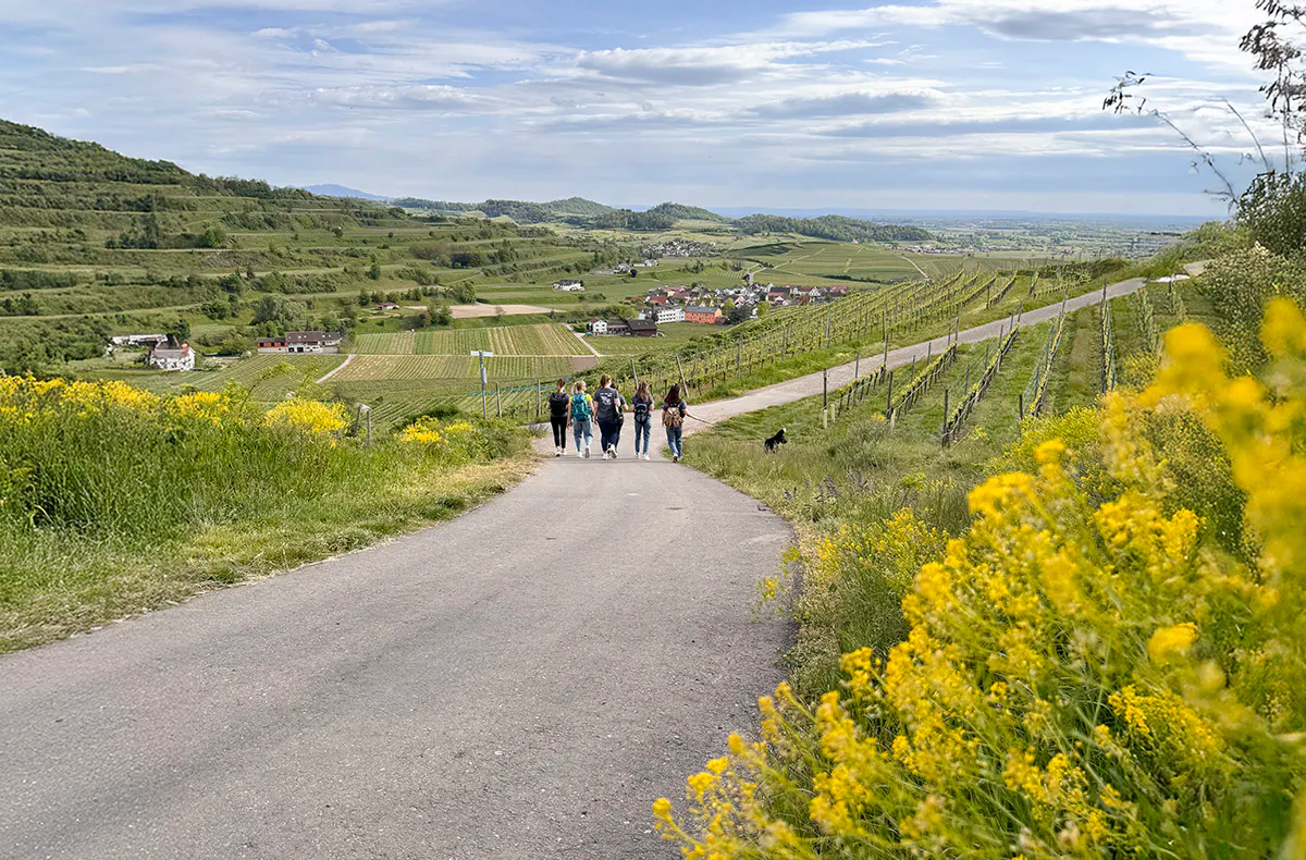 Outdoor Escape Vogtsburg im Kaiserstuhl für 2 - 3
