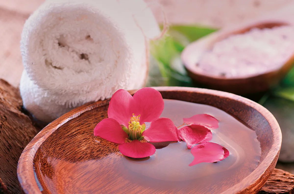 Wellness & Beauty PDF - 6