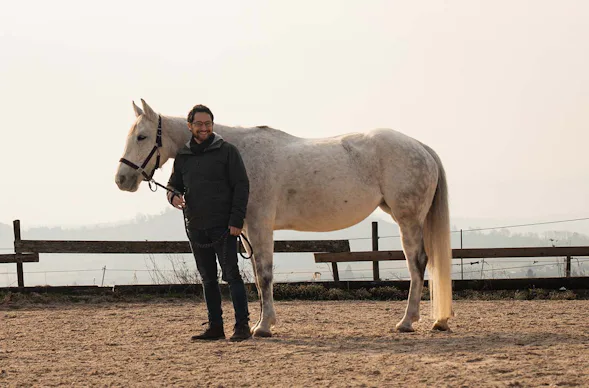 Pferdegestütztes Coaching Ammerbuch