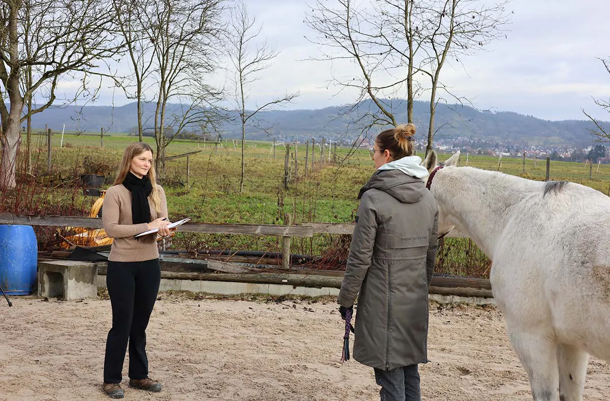 Pferdegestütztes Coaching Ammerbuch - 5