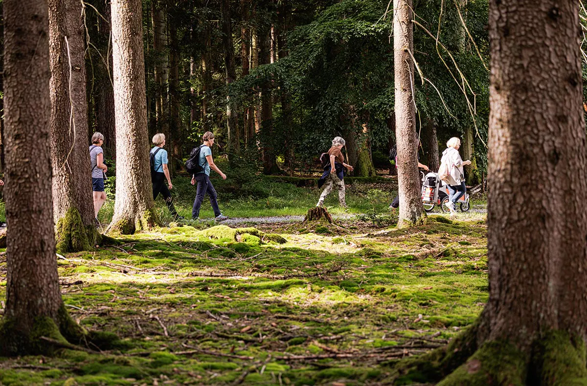 Quizwanderung Überwald Grasellenbach - 5