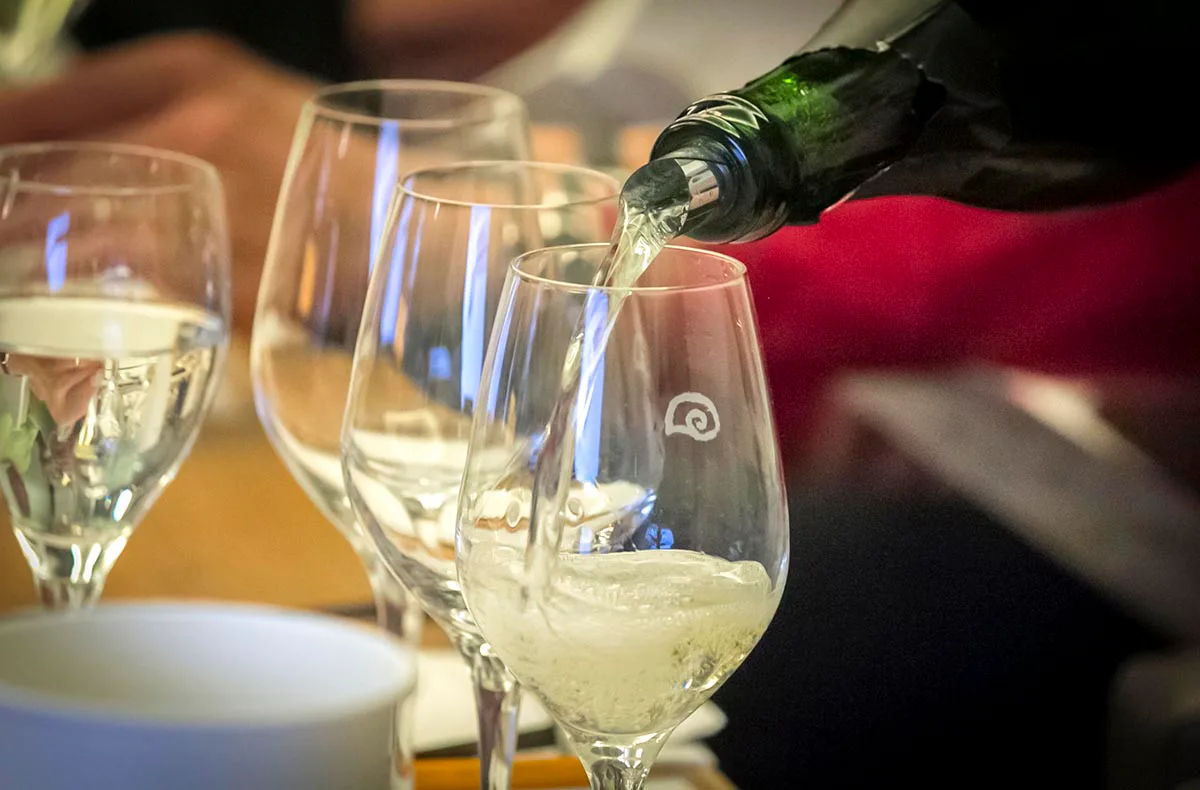 Rebsortenkurs mit Degustation Karlsruhe - 5