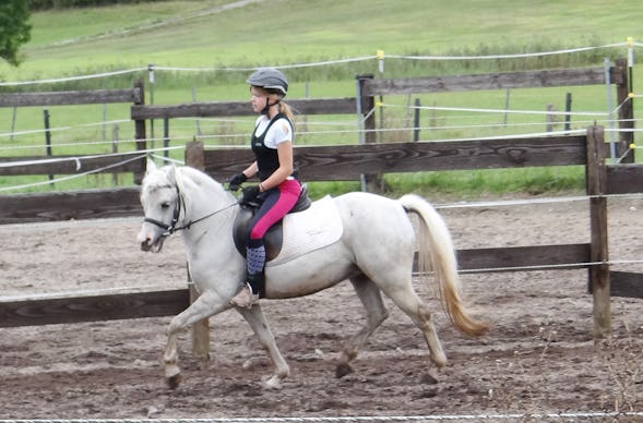 Reiten Schnupperkurs Diebach