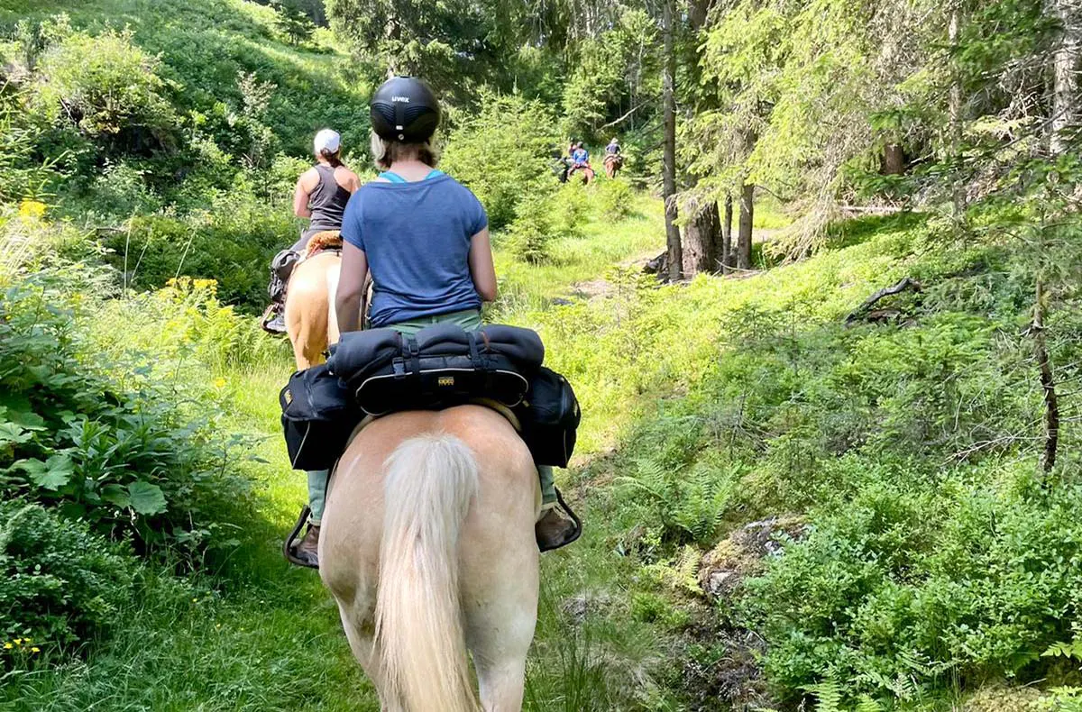 Reiten und Yoga mit Übernachtung Aschbach - 5
