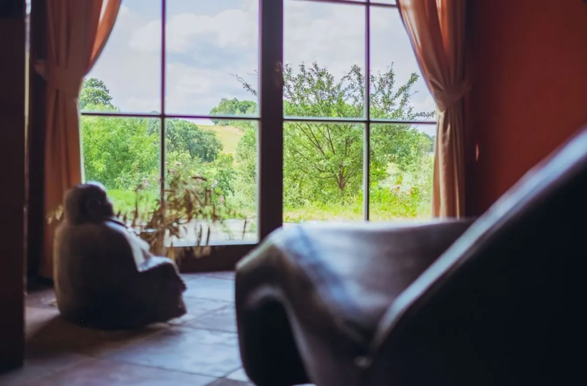 Romantische Paarmassage für 2 Pirna (60 min) - 2