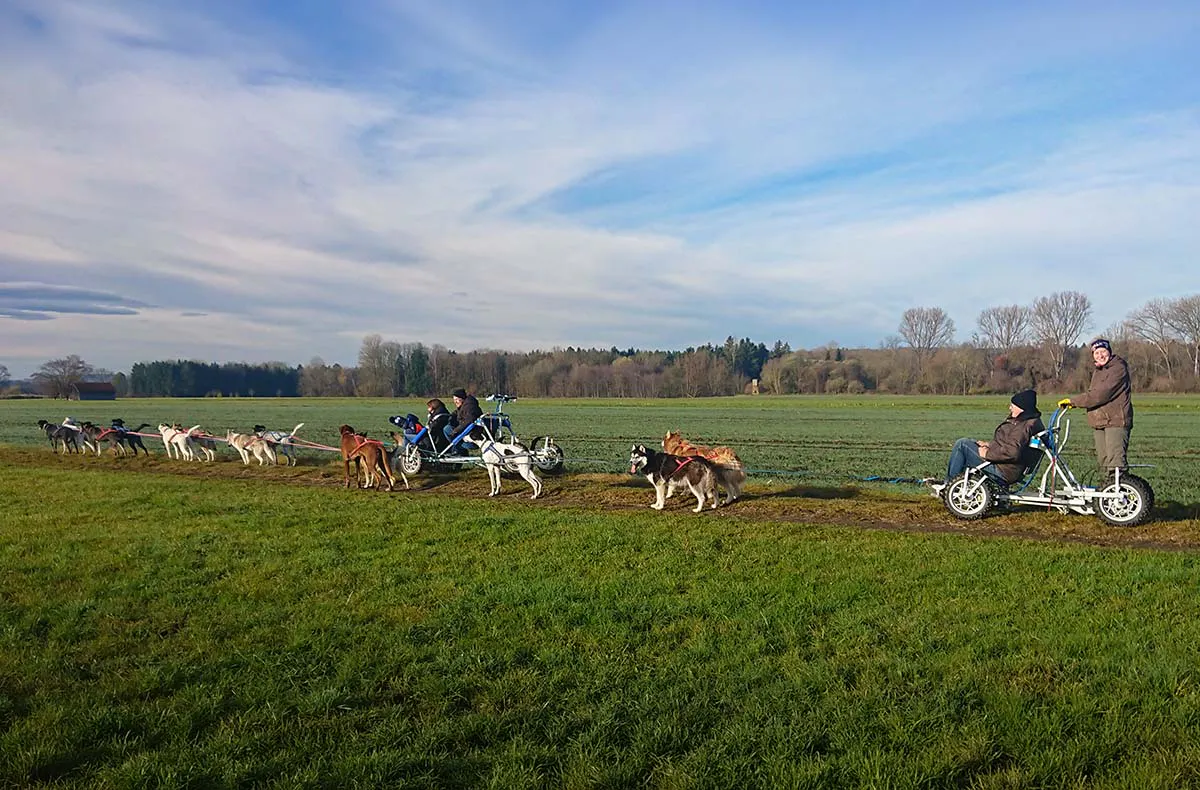 Schlittenhundefahrt Schwabmünchen - 5