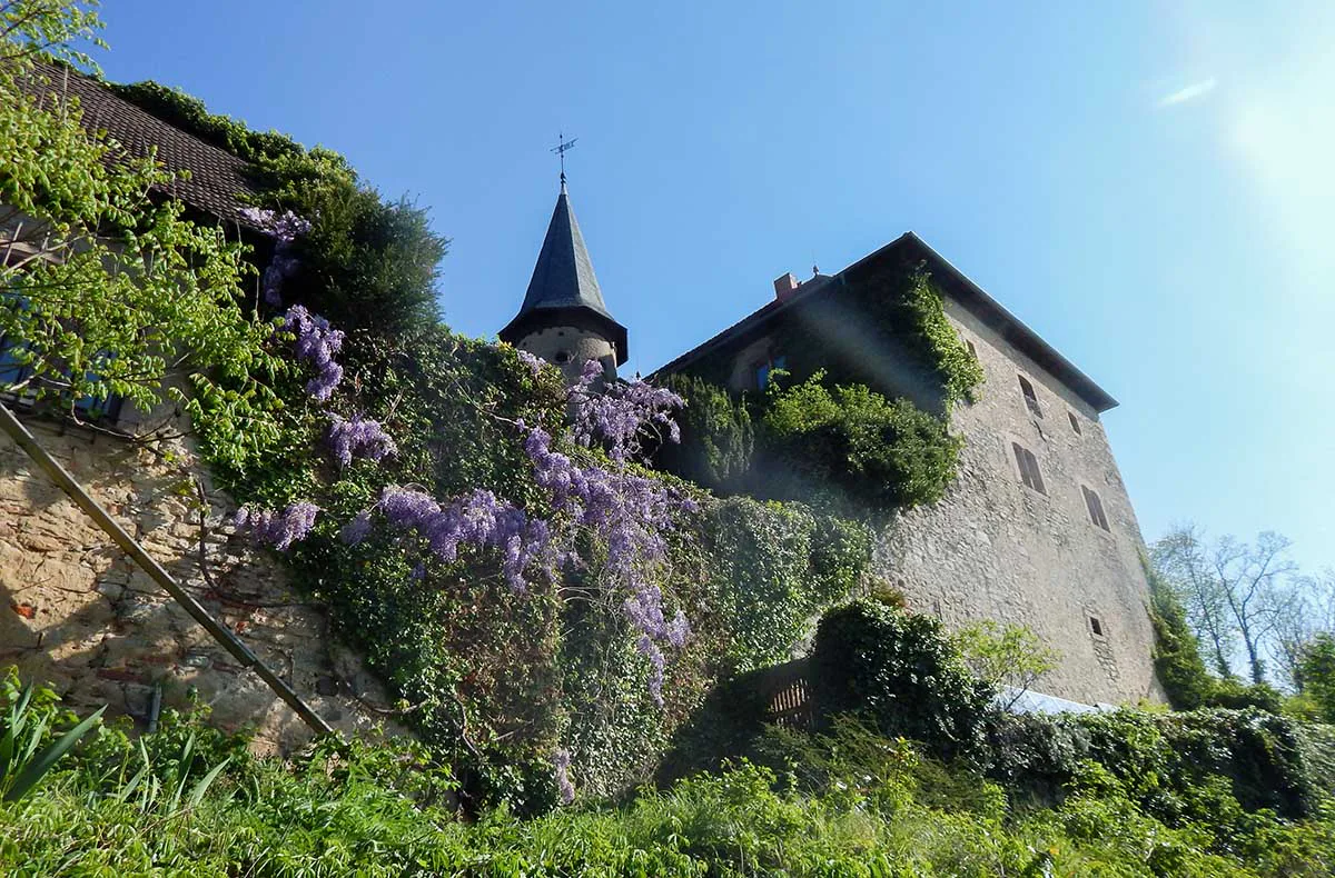 Schwert schmieden auf Burg Brandenstein Schlüchtern - 7