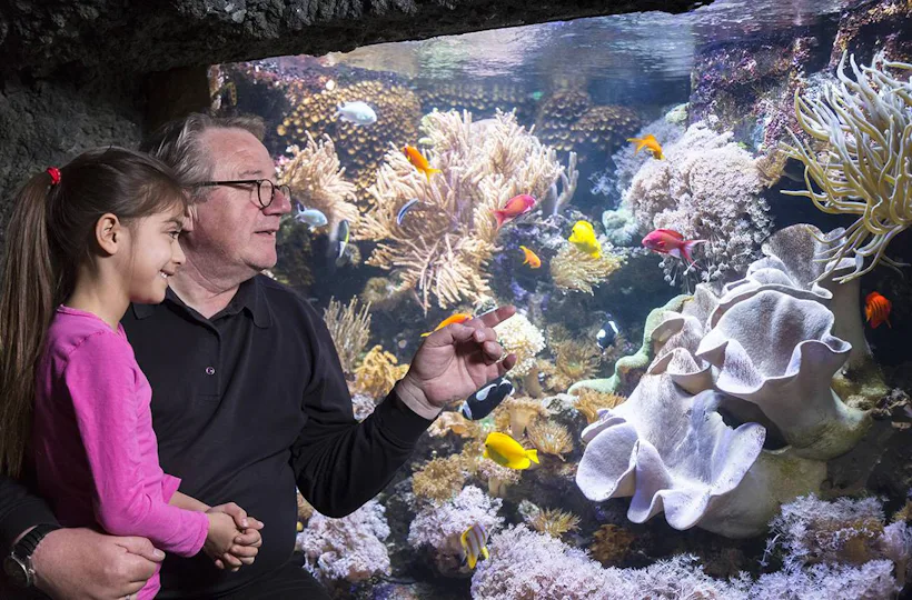 Sea Life Speyer (Kinder-Ticket)