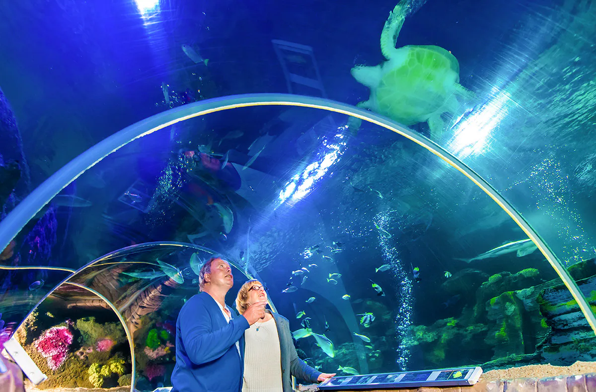 Sea Life Timmendorfer Strand (1 EW + 1 Kleinkind) - 1