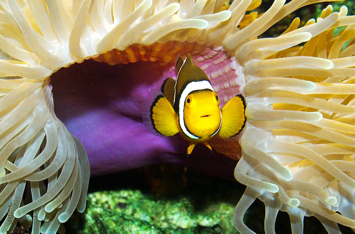 Sea Life Timmendorfer Strand (1 EW + 1 Kleinkind) - 4