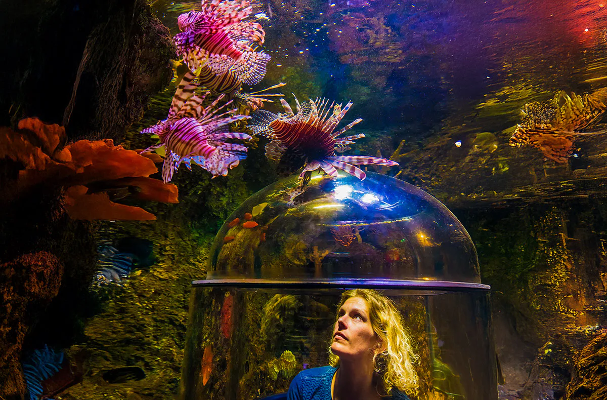 Sea Life Timmendorfer Strand (1 EW + 1 Kleinkind) - 5