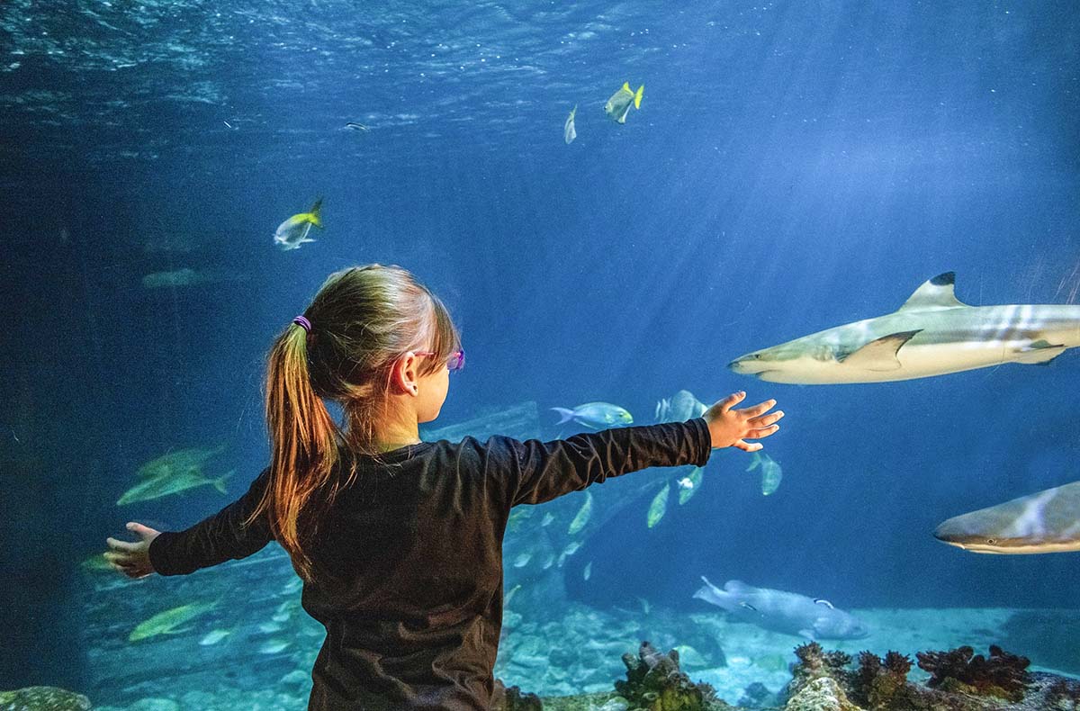 Sea Life München (Kinder-Ticket)