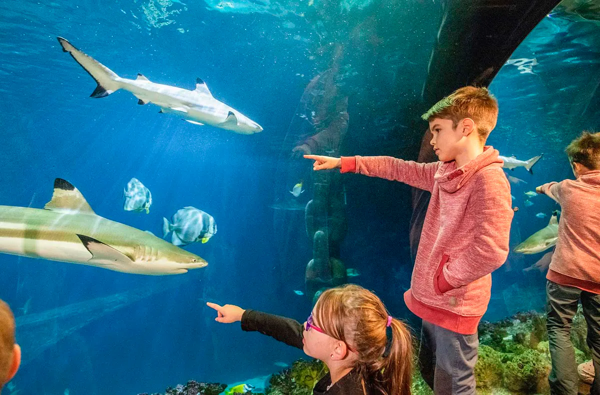 Sea Life Speyer - 5