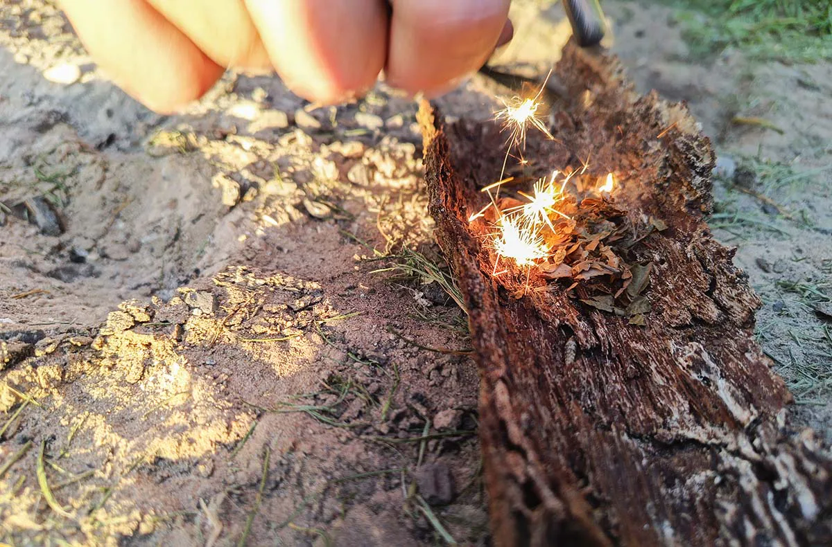 Survival Kurs Dettmannsdorf (Feuer und Schutz) - 2