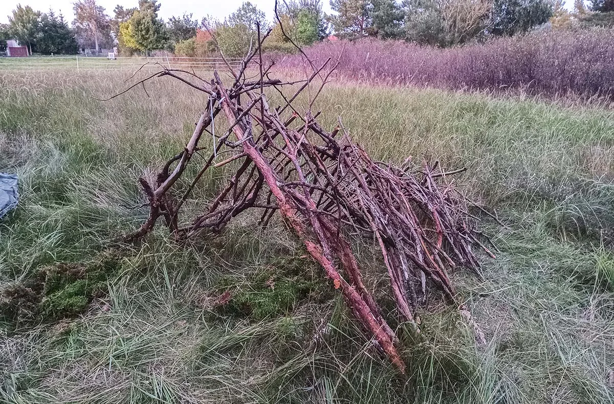 Survival Kurs Dettmannsdorf (Feuer und Schutz) - 4