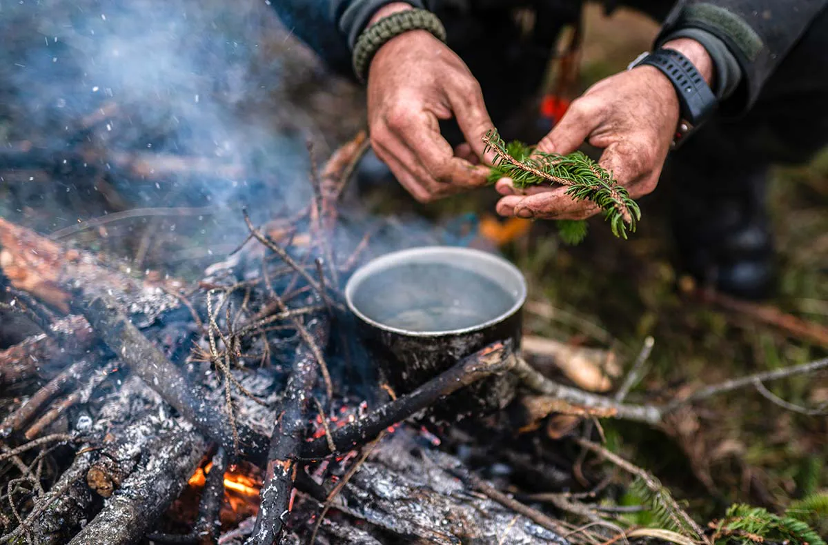 Survival Kurs Dettmannsdorf (Nahrung und Wasser) - 1