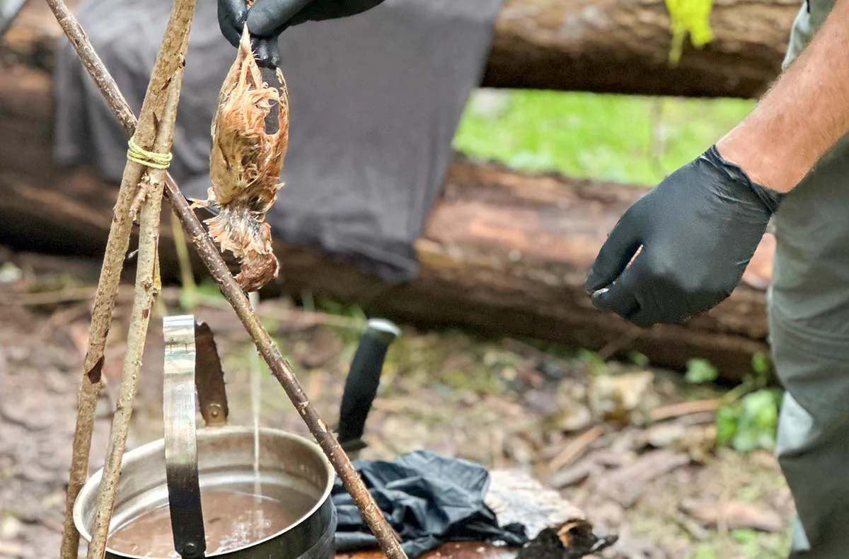 Survival Training Raum Stuttgart (Jagd- und Fallenbau) - 3
