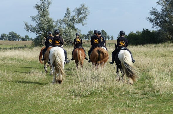 Wanderritt Hirschburg (Ostsee)