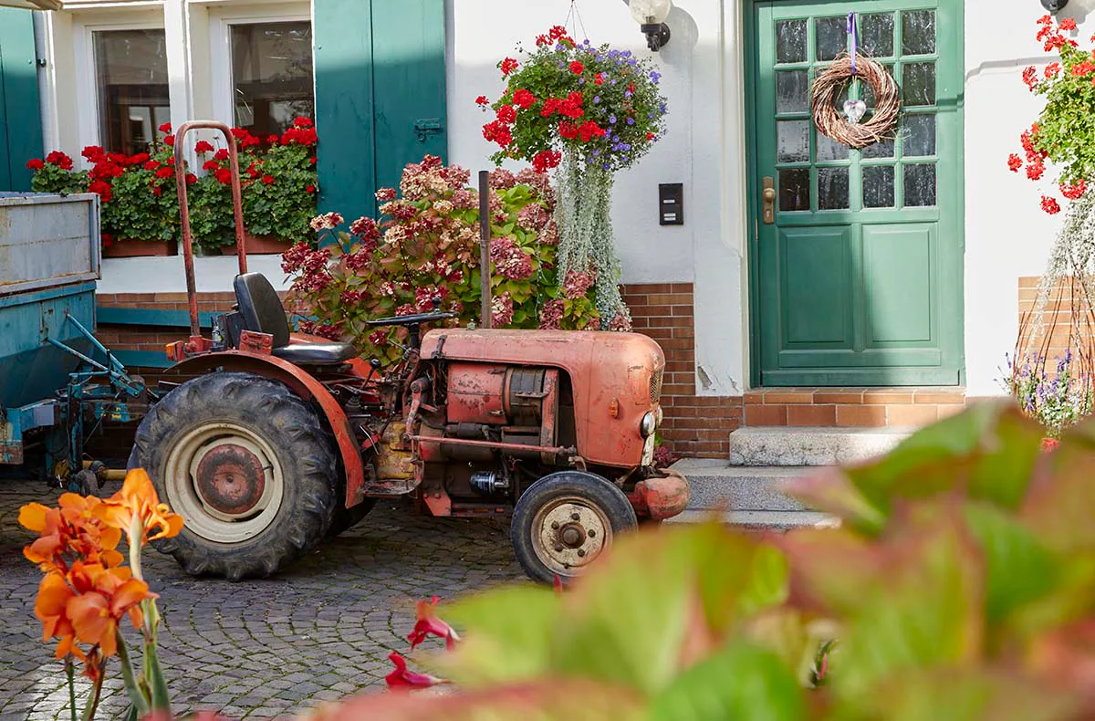 Wanderurlaub mit Weingut-Übernachtung in Rheinland-Pfalz für 2 (2 Nächte) - 7