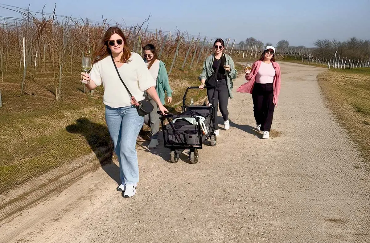 Wein-Jagd für 6 Personen Sommerach - 6
