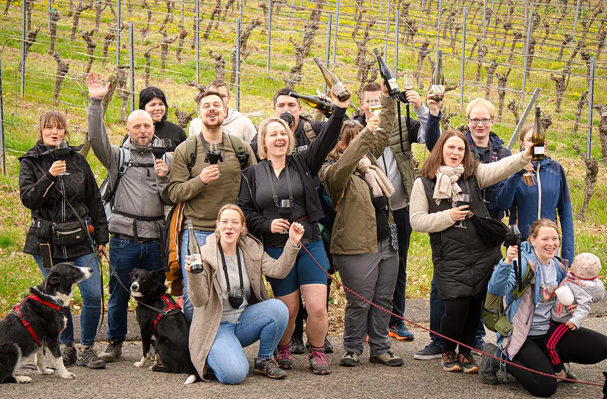Wein-Jagd für 6 Personen Volkach - 3