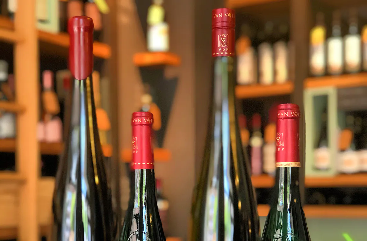Wein Tasting in München - 5