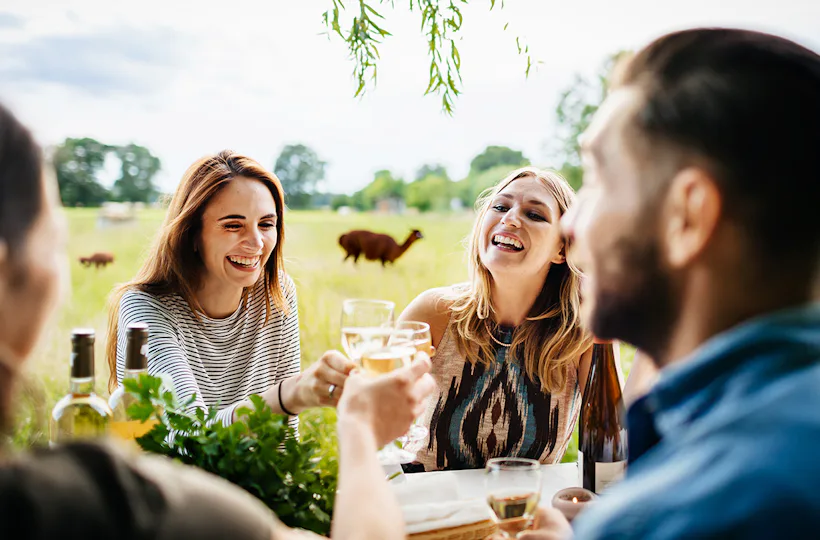 Weinprobe auf der Alpakaweide
