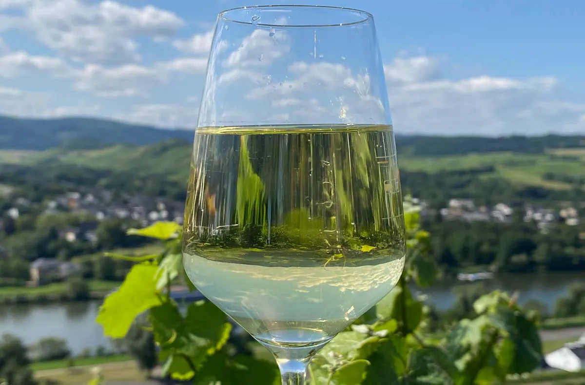 Weinprobe Lieser - 2