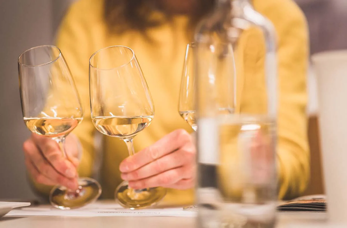 Weinseminar Einsteiger für 2 Köln - 1