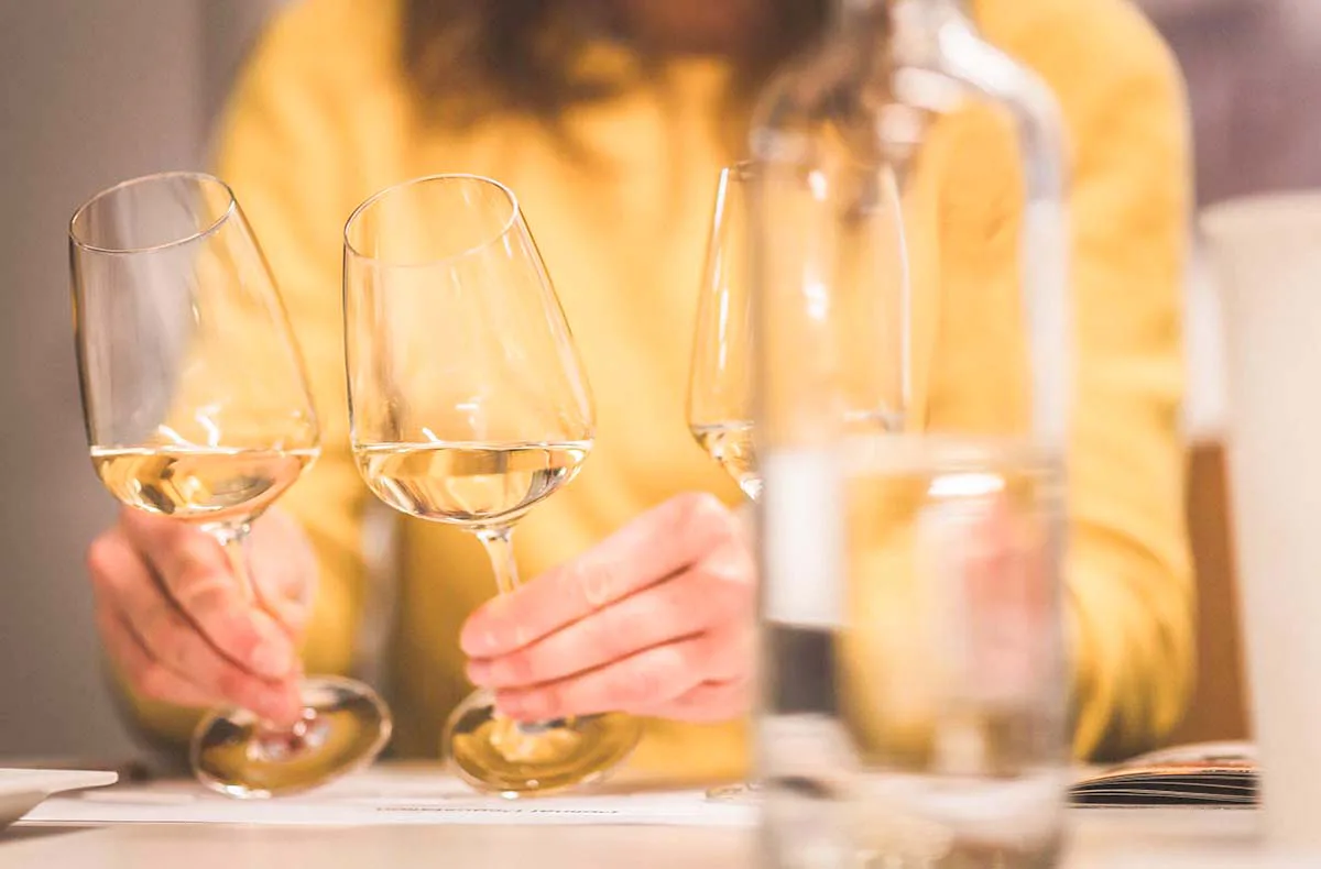 Weinseminar Einsteiger für 2 Bonn - 1