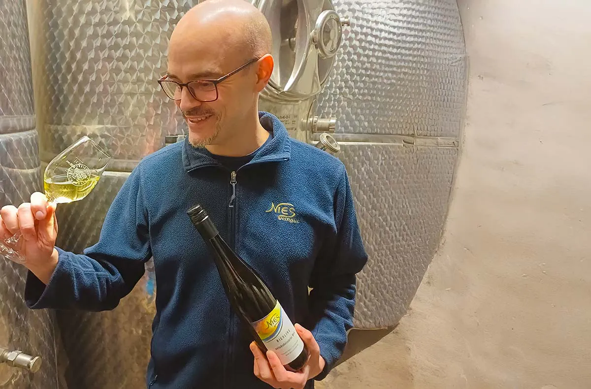Weinseminar für Genießer Lorch - 8